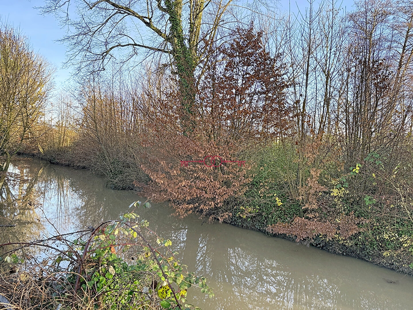  Maison centre ville Sainte-menehould 5 pièce(s) 101 m2 - photo 14