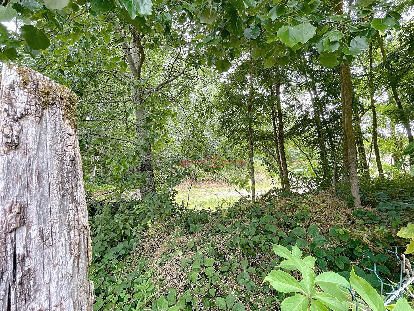 Terrains  pièces à Fismes - photo 10