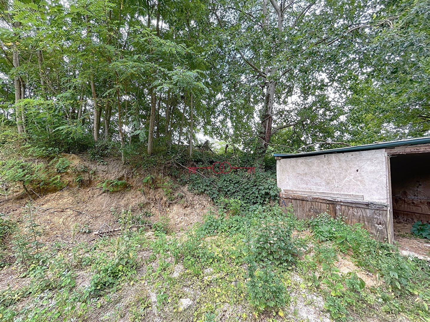 Terrains  pièces à Fismes - photo 3