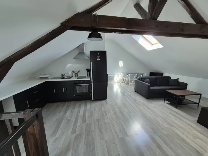 Appartement 2 pièces à Reims - photo 1