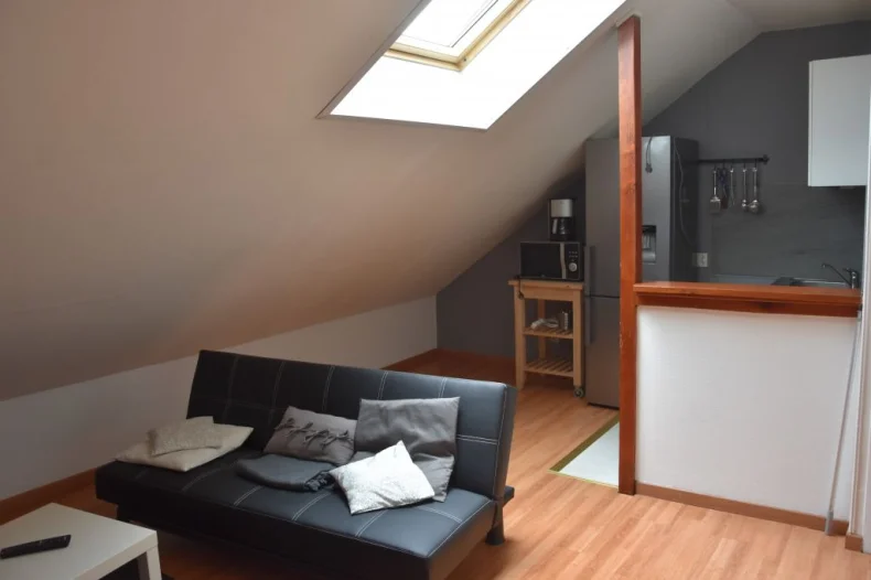 Appartement 2 pièces à Reims - photo 1