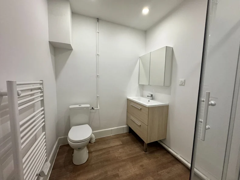 Appartement 1 pièces à Reims - photo 3