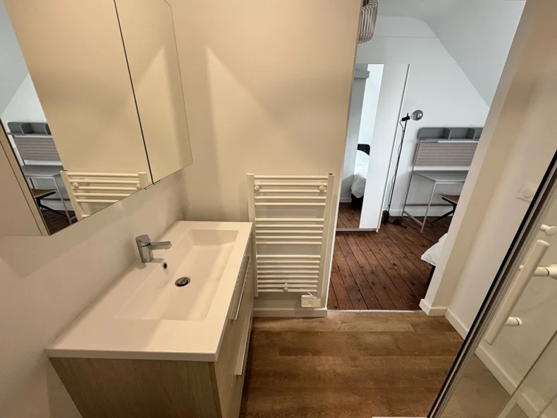 Appartement 1 pièces à Reims - photo 4