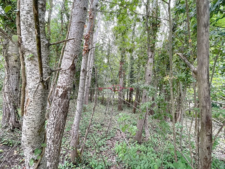 Terrain  pièces à Fismes - photo 3