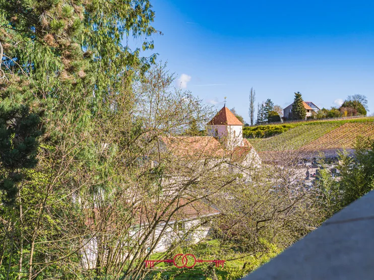 Maison à Mailly champagne