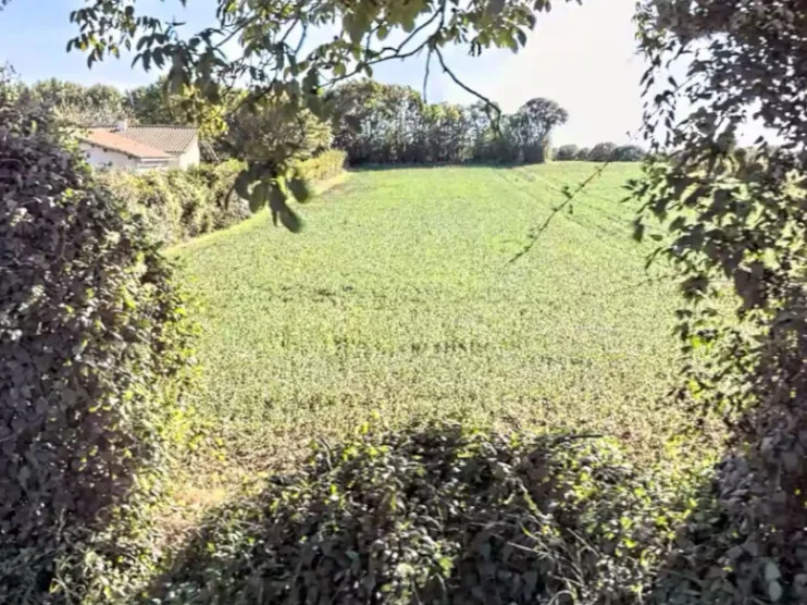 Terrain à Chize