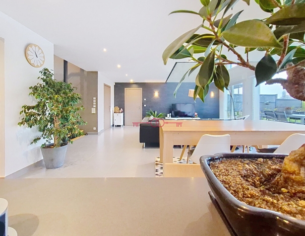 Maison 4 chambres - Vue Dégagée - Bouleuse - photo 5